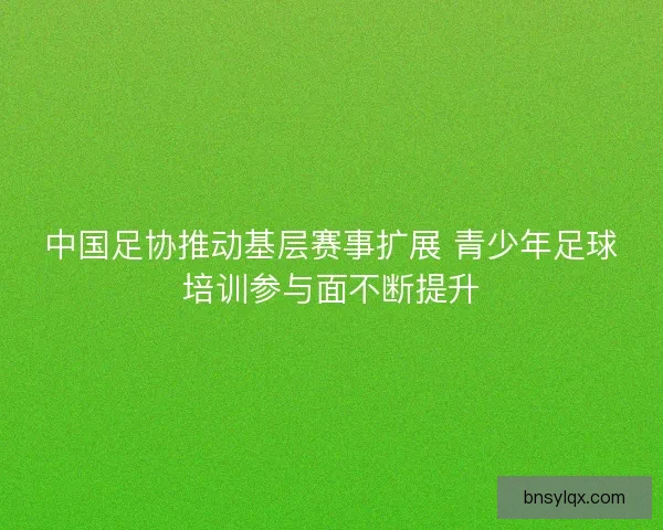 中国足协推动基层赛事扩展 青少年足球培训参与面不断提升