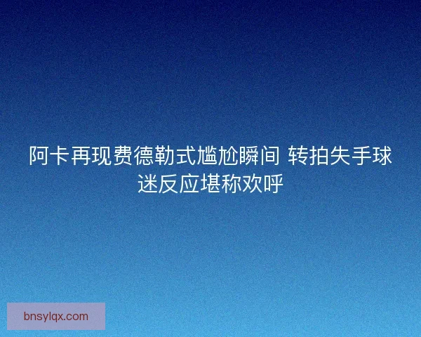 阿卡再现费德勒式尴尬瞬间 转拍失手球迷反应堪称欢呼